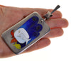 Champleve Enamel Sterling Sea World Pendant Designer C.1980