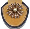 Antique Victorian 14K Gold Sead Pearl Daisy Brooch Pin C.1880