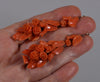 Antique Victorian Salmon Coral 14K Gold Earrings C.1860