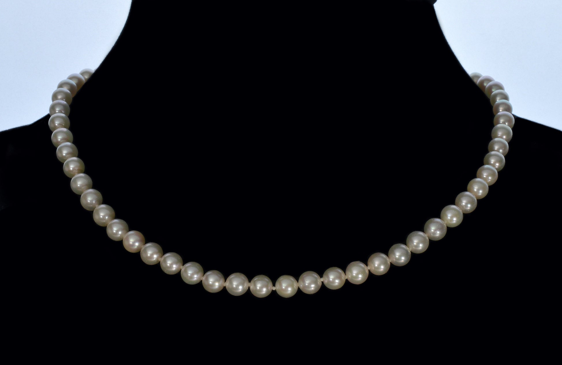 Akoya Pearls 14K Gold Clasp Necklace C.1960