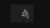 Antique Edwardian Jelly Opal 14K Gold Ring Size 9 3/4 C.1900